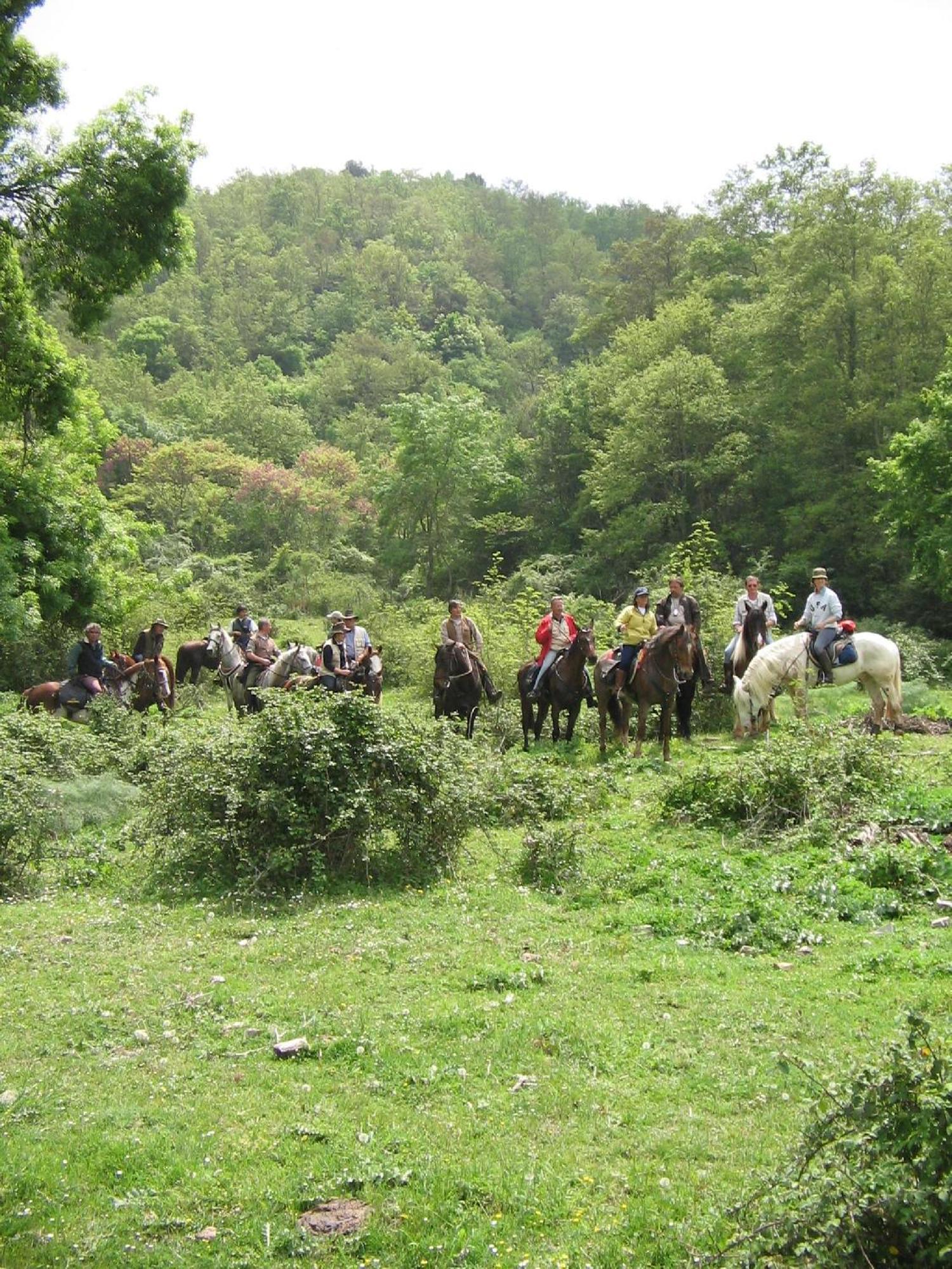 Agriturismo Casale Bonaparte Cellere エクステリア 写真