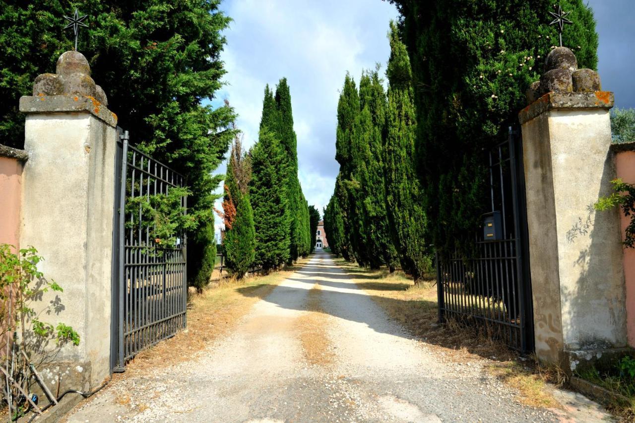 Agriturismo Casale Bonaparte Cellere エクステリア 写真